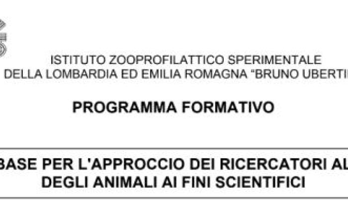 ELEMENTI BASE PER L'APPROCCIO DEI RICERCATORI ALL'UTILIZZO DEGLI ANIMALI AI FINI SCIENTIFICI